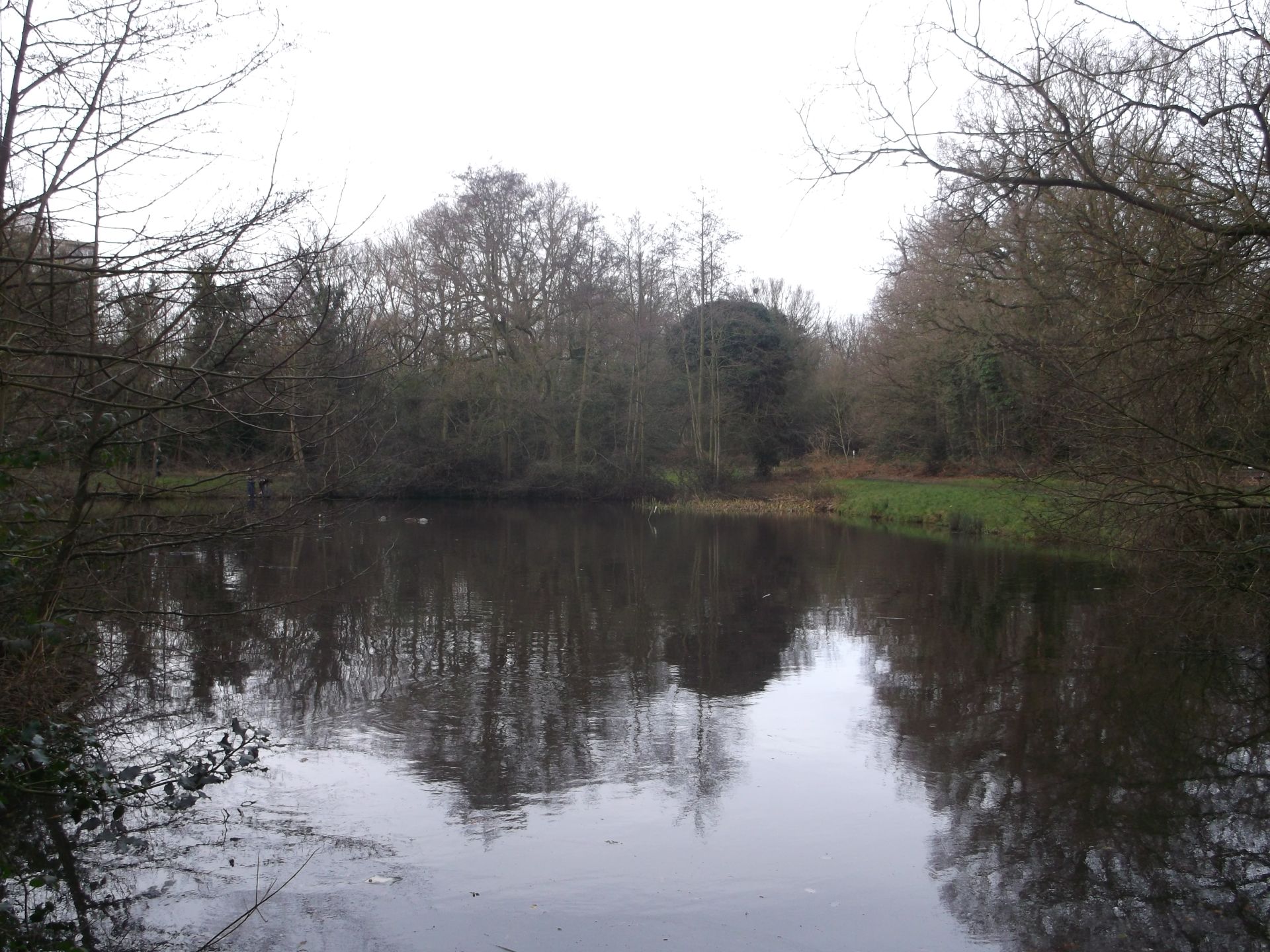 Scio Pond, Putney Heath. Photo © David Anstiss (cc-by-sa/2.0)